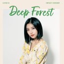 예인엔터테인먼트 이미지