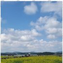 올래민박 이미지