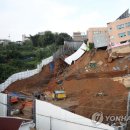 다진유치원 이미지