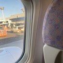 우도자동차정비 | 제주 여행 중 사고가 났다, 주간 일기