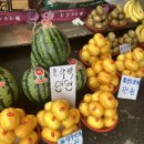 (주)경동농산 네이버블로그