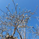 새밭마을 입구 이미지