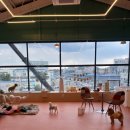 등교하개 이미지