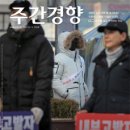 1514호 주간경향