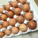 봄빛농장 이미지