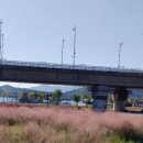 합천창녕보자전거민박 이미지