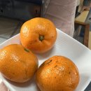 장안사 할매집 네이버블로그