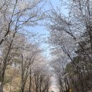 포올연구소 이미지