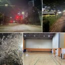 경기도 수원시 권선구 세지로66번길 7-8 (권선동) | 규제지역 벗어난 수원 저평가아파트 권선구 수원아이파크시티7단지 장단점 분석 실거주 투자