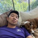 용용스테이션 이미지