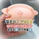 칼로 - 전주시 덕진구 기린대로 508 | 전자레인지 13분 완성! 칼로피그 저당밥솥 솔직 후기