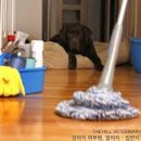 압구정 동물의료센터 이미지