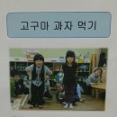 자연아이발트슐레어린이집 | 2013년 자연아이 발트슐레 어린이집 [고구마프로젝트 전시회]