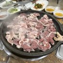 산정생오리 네이버블로그
