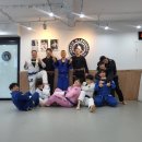 그레이시주짓수수원