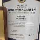슈가엘 이미지