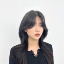 라벨르헤어 이미지