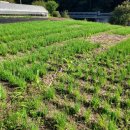 산내농장 이미지