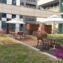 더샷 당구클럽 이미지