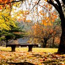 그리고경주 이미지