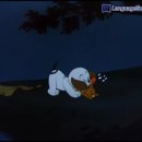 꼬마강아지 이미지