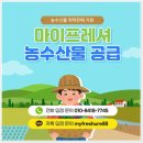 CS수산물유통 | 온라인 농산물 위탁 모든 부담을 덜어준 곳