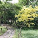 매포전통시장(매포재래시장) 이미지