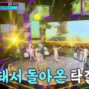 신바람막걸리 이미지