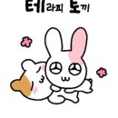 노멀크러시