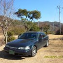 송계농장 이미지