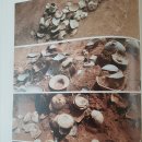 분청사기요지 이미지