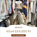 라코스테롯데백화점 | 라코스테 울모자, 라코스테 울 장갑 언박싱, 실제착용 후기, 동탄 롯데백화점 파리크라상, 동탄 롯데...