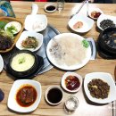 마회장산오징어 | 대구 들안길 맛집, 수성구 오징어회 맛집 '마회장 산오징어'