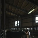 연성목장 이미지