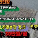 태지농장 네이버블로그