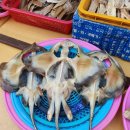 대일상회 네이버블로그