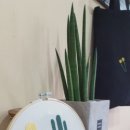 토닥토닥공방 이미지