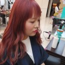 로즈헤어커커 - 임실군 봉황로 170-1 | 로즈헤어커커