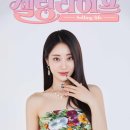 셀링마이 마이데일리