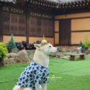포천포레스트벨리 이미지