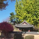 바람소리 이미지