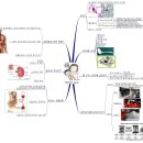 최근 중국산 식품에서 검출되는 멜라민이란? 이미지