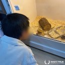 금창초등학교 | [부산 초등학생 직업 체험] 부산 금창초등학교에서 찾아오는 생태체험을 진행했어요!