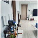 사파동191 이미지