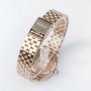 로즈골드(Rose Gold) 이미지