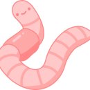 꿈꾸는지렁이