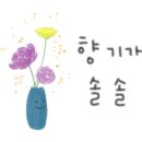 그림책 하브루타 코칭과정(하브루타 지도사 2급) 이미지