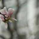 서신목장 이미지