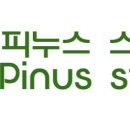 피누스스토어 일류 이미지