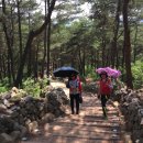 경천대관광지 이미지